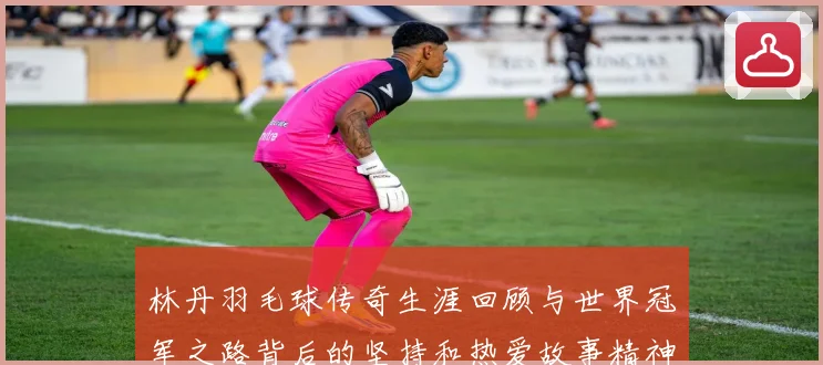 林丹羽毛球传奇生涯回顾与世界冠军之路背后的坚持和热爱故事精神