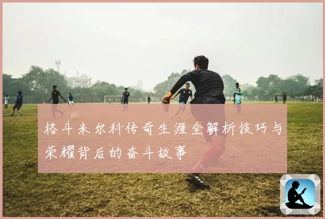 格斗米尔科传奇生涯全解析技巧与荣耀背后的奋斗故事