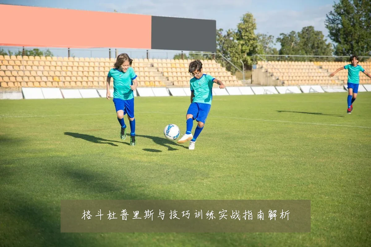 格斗杜普里斯与技巧训练实战指南解析