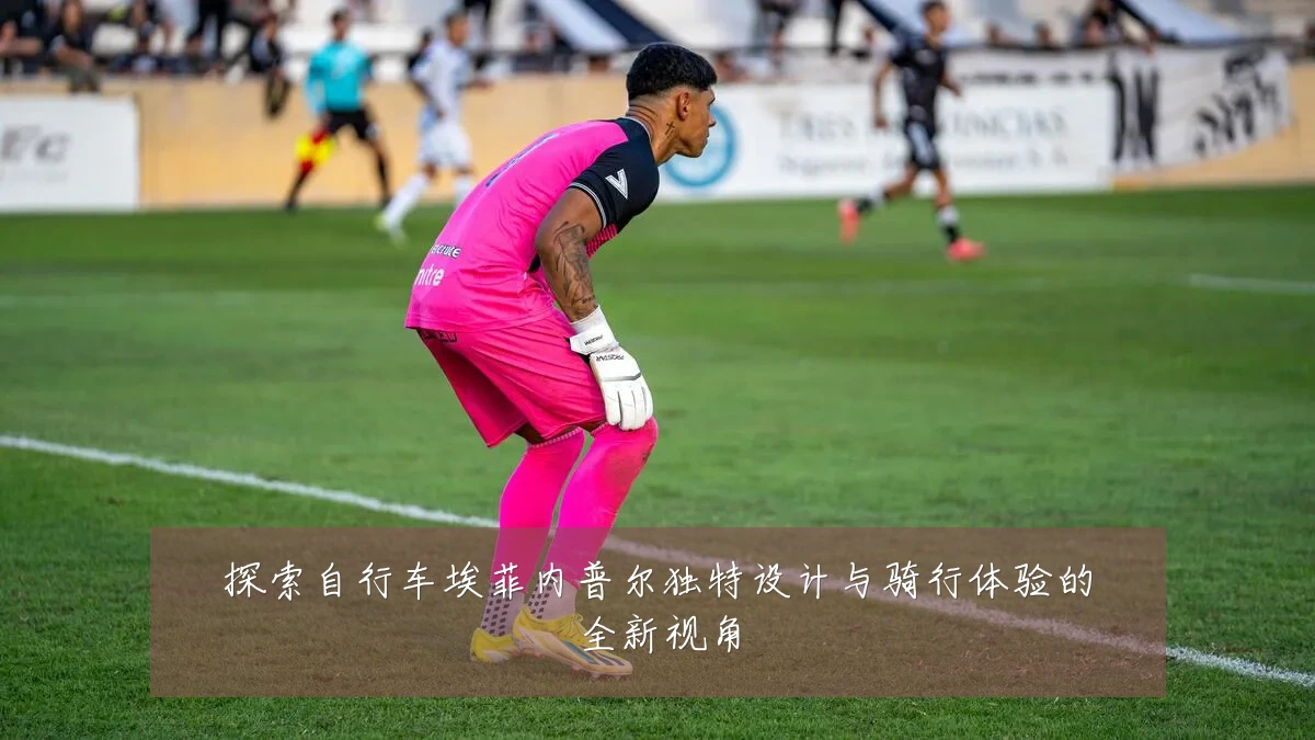 探索自行车埃菲内普尔独特设计与骑行体验的全新视角